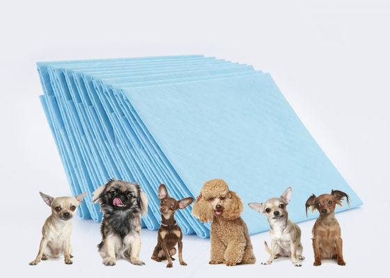 O treinamento do animal de estimação do hospital acolchoa o OEM descartável adulto do ISO de Underpads